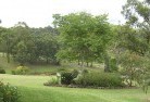 Allendaleresidential-landscaping-40.jpg; ?>